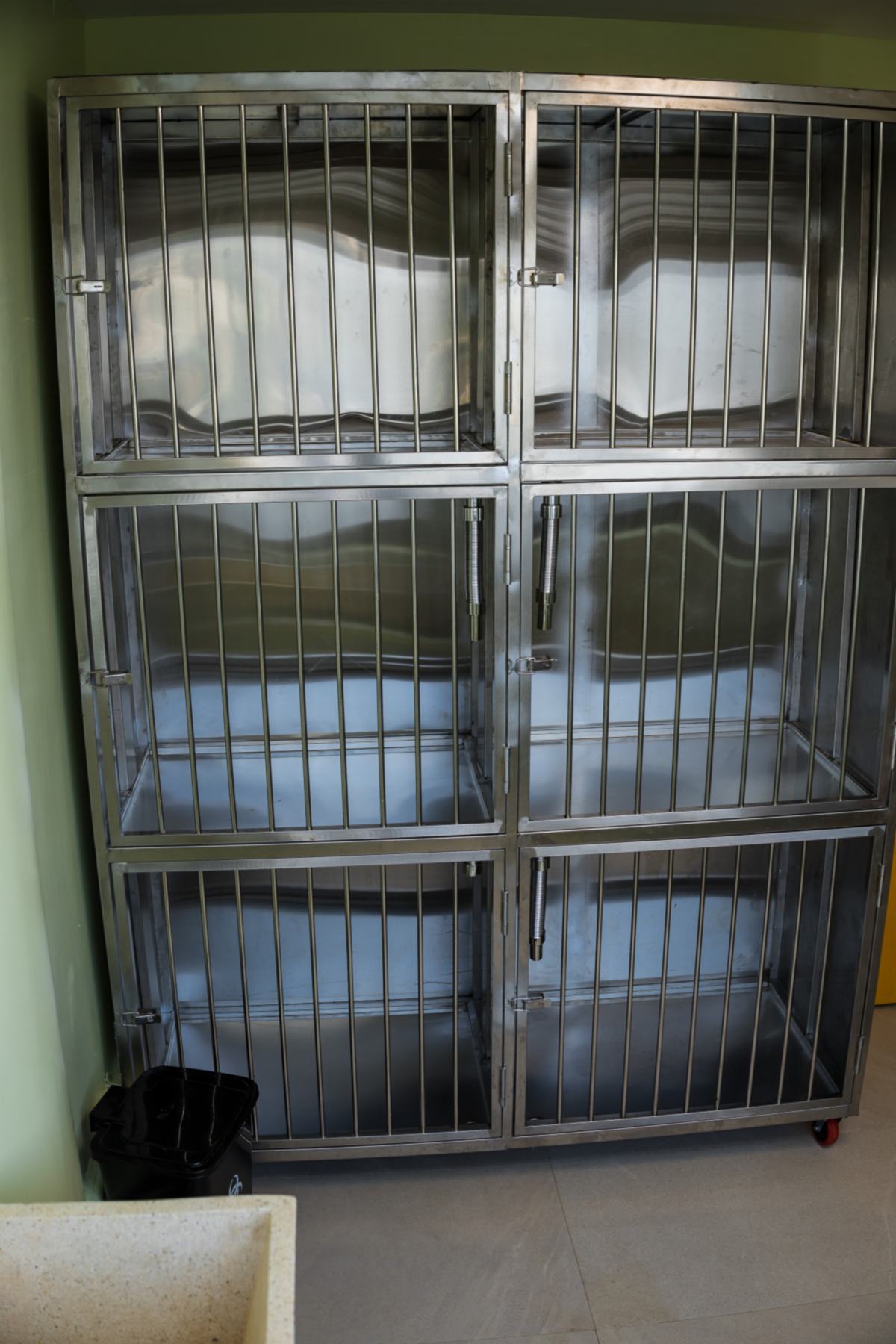 Mobivet Veterinary Clinic gallery photo
